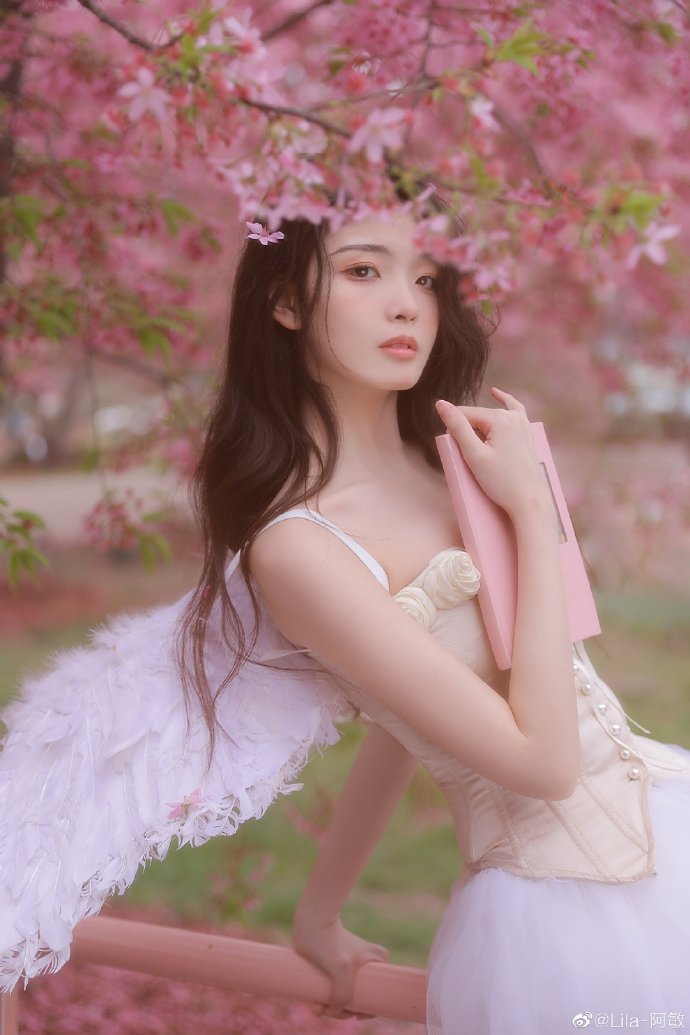 绿皮书