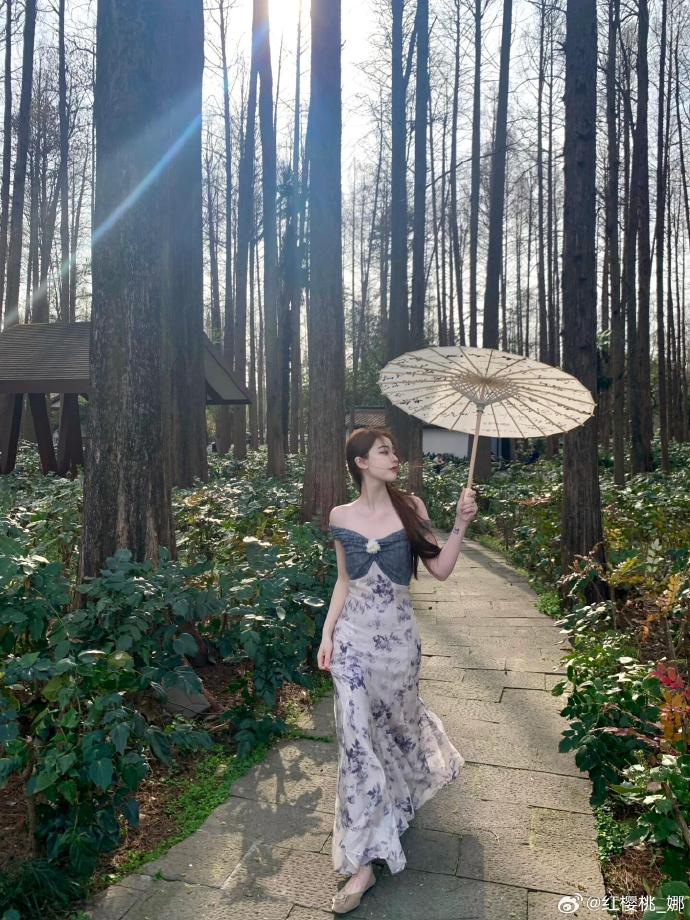安家 封面
